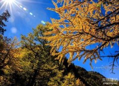 望城網頁制作流程是什么？